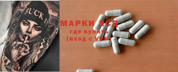 ГАЛЛЮЦИНОГЕННЫЕ ГРИБЫ Алзамай