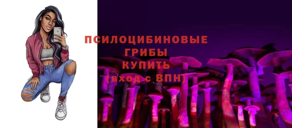 ALPHA-PVP Алексеевка