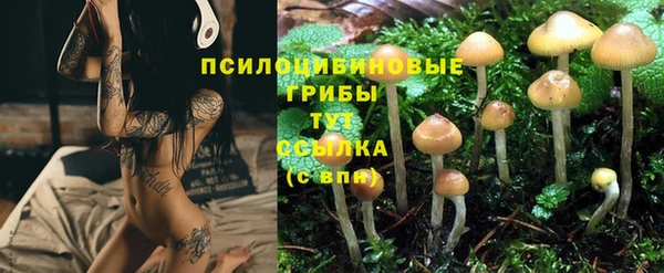 ГАЛЛЮЦИНОГЕННЫЕ ГРИБЫ Алзамай