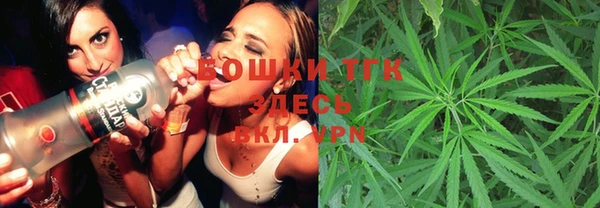 ГАЛЛЮЦИНОГЕННЫЕ ГРИБЫ Алзамай