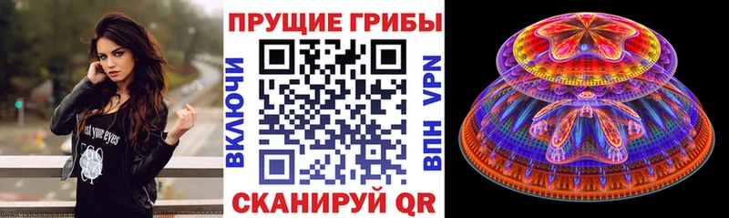 площадка клад купить наркотики цена Уяр Псилоцибиновые грибы GOLDEN TEACHER